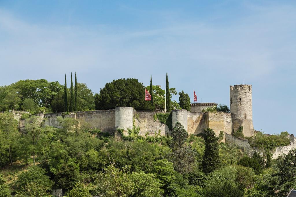 Résidence Prestige Odalys Le Clos Saint Michel Chinon Exterior foto